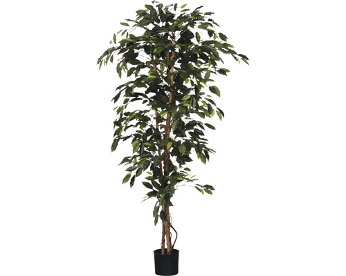 Künstlicher Ficus im Topf für die Innendekoration