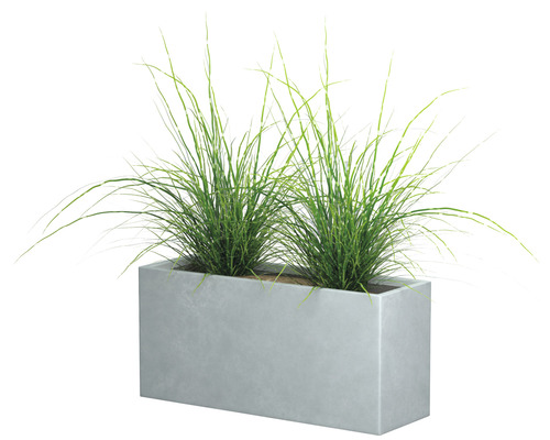 Rechteckiger Pflanzkasten mit Gräsern