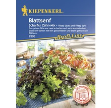 Kiepenkerl Blattsenf-Samenpackung mit Salatabbildung und ''Für Hochbeet und Kübel geeignet'' Symbol.