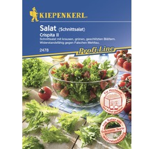 Kiepenkerl Crispita II Schnittsalat-Samenpackung mit Salatabbildung