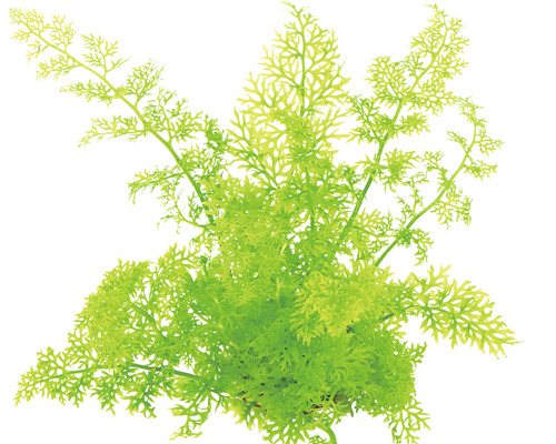 Kunstpflanze für Aquarien