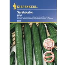 Salatgurke ''Eiffel'' Samenpackung von Kiepenkerl