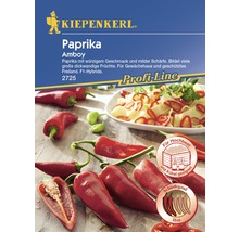 Kiepenkerl Logo. Paprika Amboy Samenpackung mit dem Hinweis, dass sie für Hochbeete und Kübel geeignet ist und einen hohen Schärfegrad hat.
