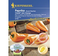 Kiepenkerl Paprika Tribelli Mini Orange Samenpackung