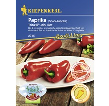 Paprika Tribelli Mini Rot Samenpackung