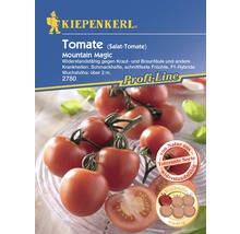 Kiepenkerl Tomatensamen für Salattomaten der Sorte Mountain Magic