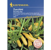 Kiepenkerl Zucchini Shooting Star Samenpackung