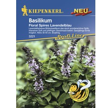 Kiepenkerl Basilikum Floral Spires Lavendelblau Samenpackung