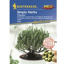 Kiepenkerl Thymian Simply Herbs Samenpackung