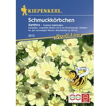 Kiepenkerl Schmuckkörbchen Xanthos Samenpackung