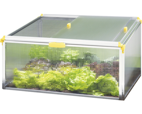Frühbeet JUWEL Biostar Protect 1000 inkl. Schädlings- und Wetterschutz 100 x 75 cm Frühbeet mit Salatpflanzen