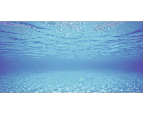 Unterwasseransicht mit Sandboden