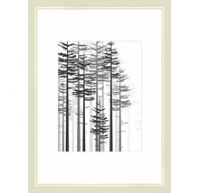 Dokumentenrahmen Holz Modern weiß 21x29,7 cm (DIN A4)