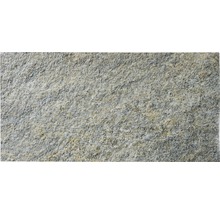 Gneis Bodenplatte Luserna Colori 60x30cm-thumb-1