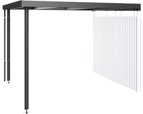 Seitendach Biohort zu HighLine H4 dunkelgrau-metallic Dachoberfläche 282 x 275 cm quarzgrau-metallic