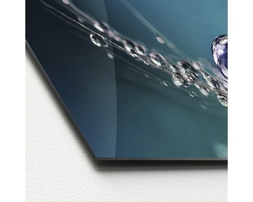 Glasbild mit Wassertropfen auf einer Pflanzenfaser