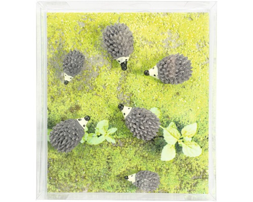 Dekoration mit Igelmotiven in einer transparenten Box