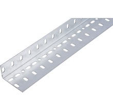Conceptor Winkelprofil gelocht verzinkt 25x45x1 mm, 2m silber-thumb-0