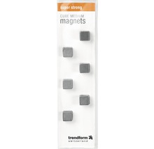 Sechs würfelförmige Magnete in einer Verpackung