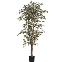 Künstlicher Benjamini Baum im Topf