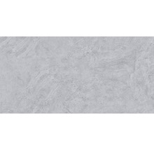 Keramik Bodenfliese Onyx 30,0x60,0 cm grau glänzend rektifiziert-thumb-0
