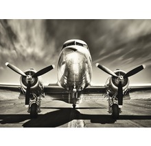 Frontansicht eines Flugzeugs mit Propellern auf einer Startbahn