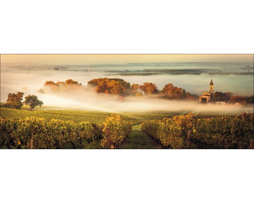 Weinberg mit Nebel und Kirche im Hintergrund