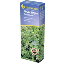 Kiepenkerl Gründünger Perserklee Packung