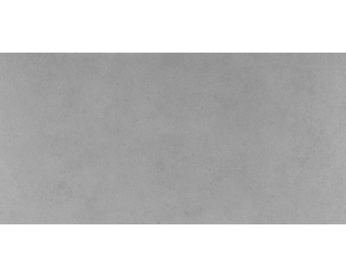 Feinsteinzeug Bodenfliese Vega 30,5x61,5 cm grau matt Feinsteinzeug Bodenfliese Vega 30,5x61,5 cm grau matt