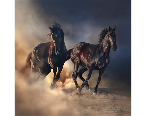 Glasbild Two running Horses 30x30 cm GLA2029