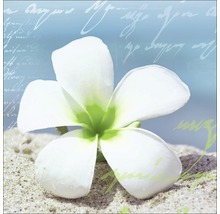 Glasbild Holiday Feeling I 30x30 cm GLA453
