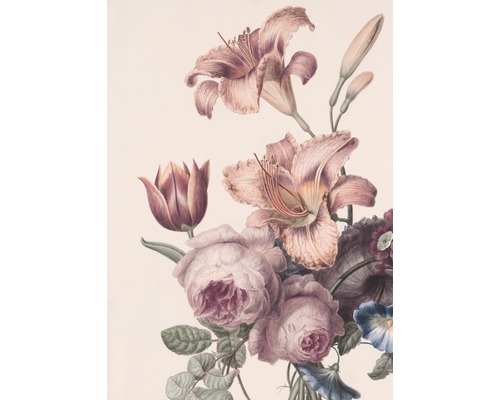 Fototapete Vlies 105401 Soft Blush Rosa Blüten 4-tlg.200 x 280 cm