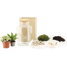 DIY-Set für ein Flaschengarten-Biotop mit Glasbehälter, Korkdeckel, Pflanzen und Zubehör