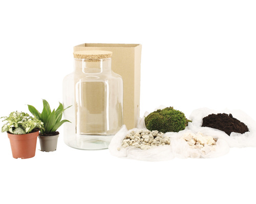 DIY-Set für ein Flaschengarten-Biotop mit Glasbehälter, Korkdeckel, Pflanzen und Zubehör