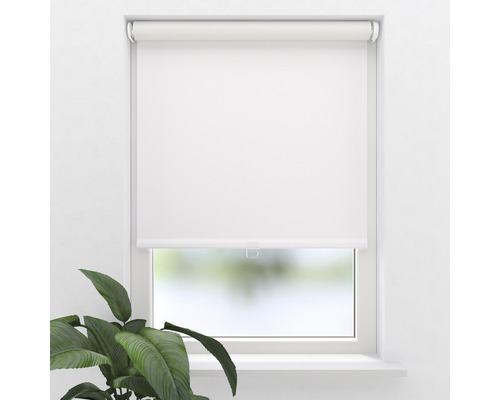 Rollo am Fenster zur Beschattung