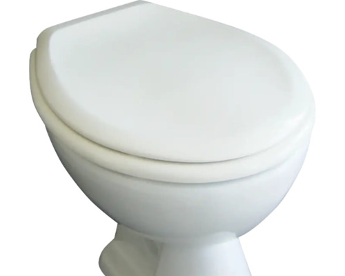 Standtoilette mit geschlossenem Spülrand und Toilettendeckel