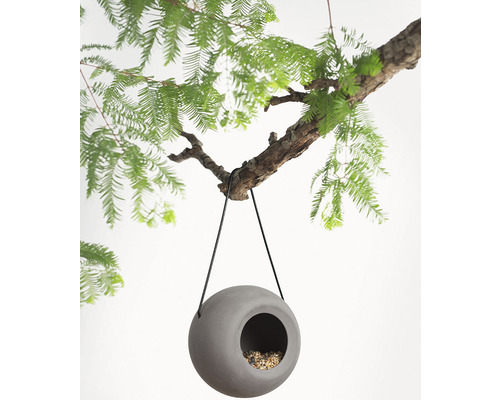 Runde Vogeltränke aus Stein, hängend an einem Baumast