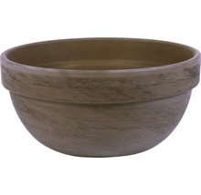 Pflanzschale Levy Ø 35 x H 17 cm