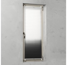 Plissee am Fenster zur Lichtregulierung und als Sichtschutz