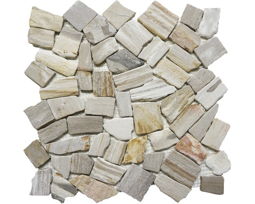 Natursteinmosaik Fossil Wood polygonal 30,5x30,5 cm brau grau Mosaikfliese aus Stein