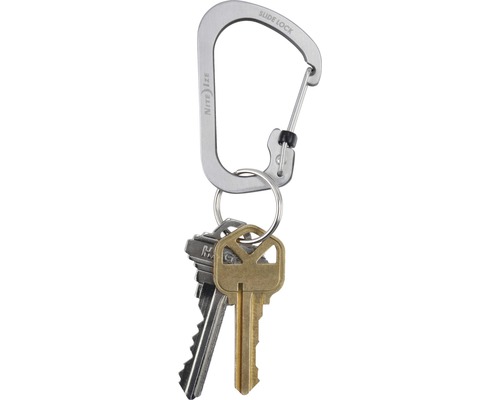 Karabinerhaken mit Schlüsselring und Schlüssel
