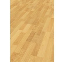 Laminat 6.0 Basic Buche-thumb-3 Laminat 6.0 Basic Buche-thumb-3