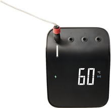 Grillthermometer WEBER Connect Smart Grilling Hub