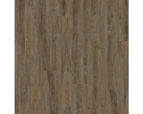 Vinyl-Diele Gerflor Dryback 30 Nina zum Verkleben 184x1219x2 mm Holzfußboden in Dielenoptik