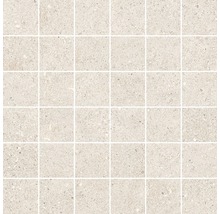 Feinsteinzeugmosaik Sassi 30,0x30,0 cm beige matt