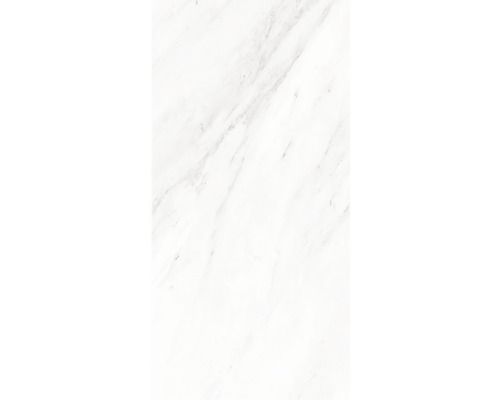 Kunststoffpaneel GX Wall+ Marmor grau 5x300x600 mm Weiße Fliesen mit Marmoroptik