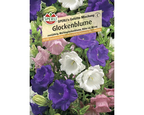 Samenpackung gefüllte Glockenblume der Marke Sperli