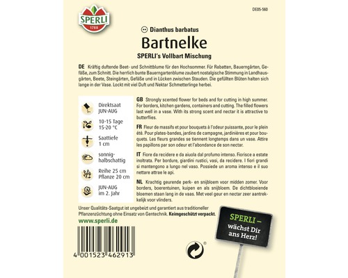 Bartnelke Blumensamenpackung von Sperli