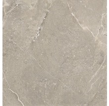 Feinsteinzeug Bodenfliese Anden Natural 60x60 cm grau matt rektifiziert