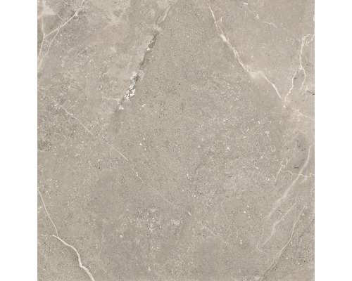 Feinsteinzeug Bodenfliese Anden Natural 60x60 cm grau matt rektifiziert Feinsteinzeug Bodenfliese Anden Natural 60x60 cm grau matt rektifiziert